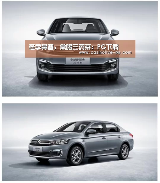 冬季鼻塞,常喝三药茶:PG下载(图3) PG赛事