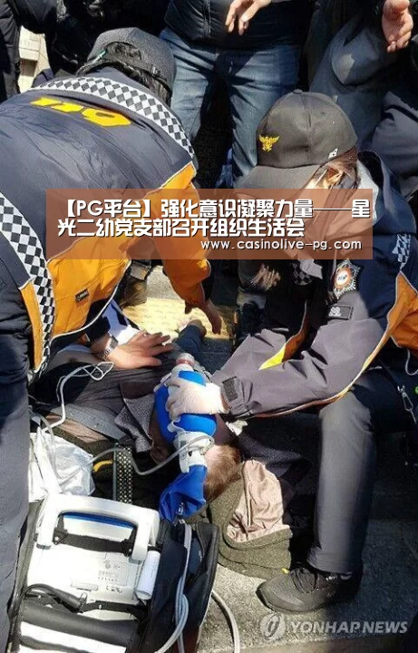 【PG平台】强化意识凝聚力量——星光二幼党支部召开组织生活会(图1) PG下载