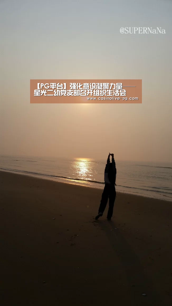 【PG平台】强化意识凝聚力量——星光二幼党支部召开组织生活会(图3) PG平台