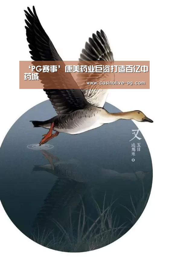 ‘PG赛事’康美药业巨资打造百亿中药城(图2) PG棋牌
